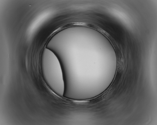 X0000086971487200704161135