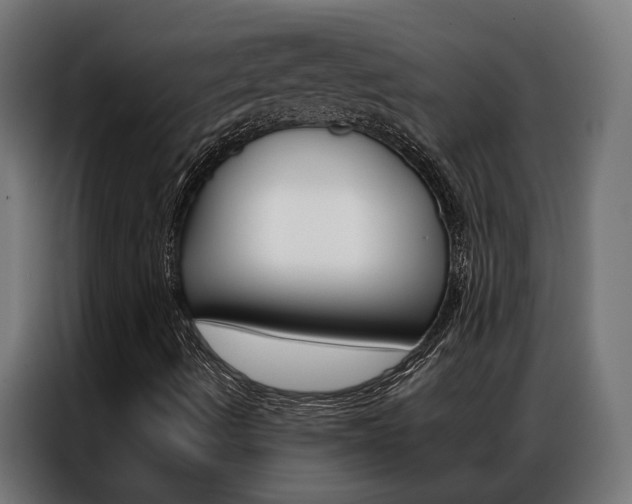 X0000086971490200704161134