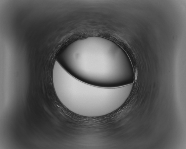 X0000086971492200704161134