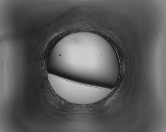 X0000086971494200704161134