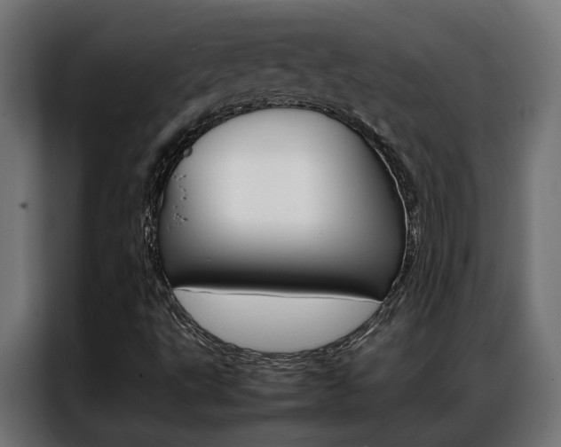 X0000086971495200704161134