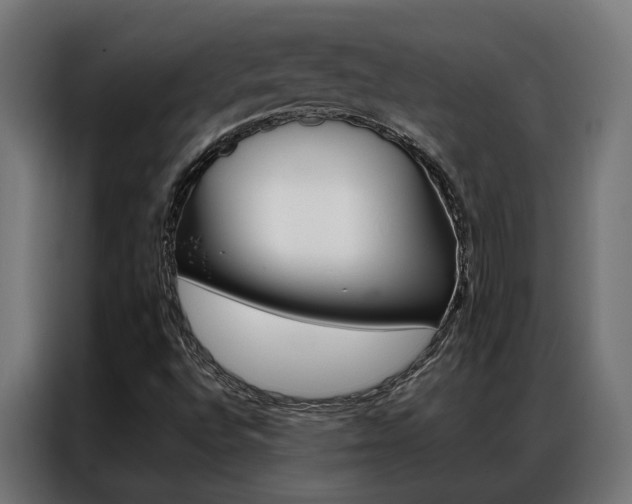 X0000086971496200704161134