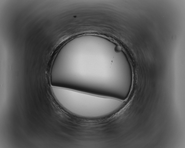 X0000086971497200704161134