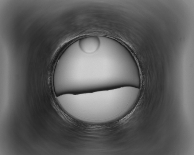 X0000086971499200704161134