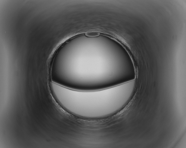 X0000086971500200704161134