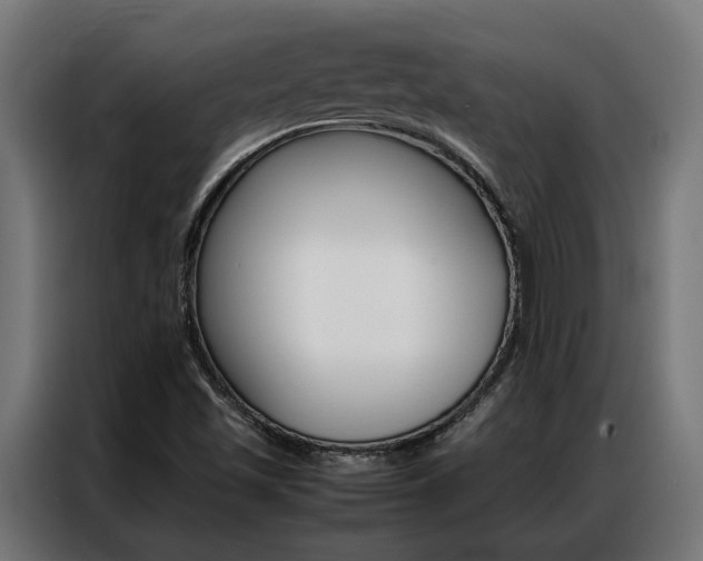 X0000086971501200704161134