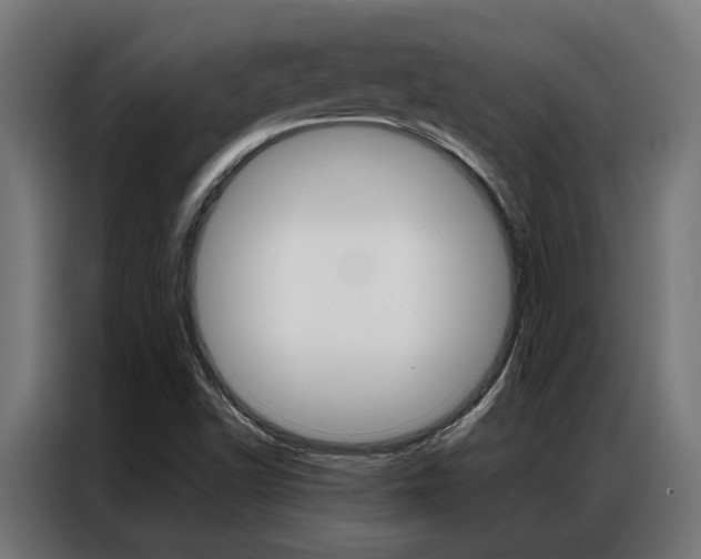 X0000086971502200704161134