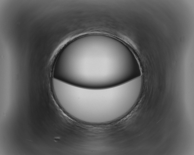 X0000086971504200704161134