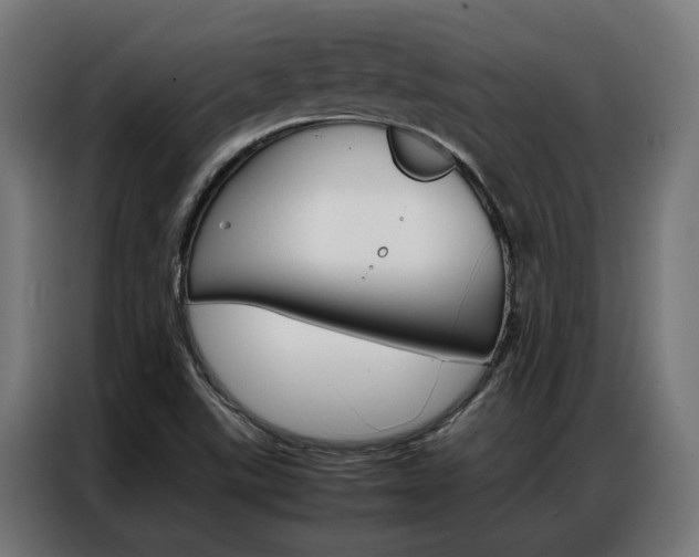 X0000086971507200704161134