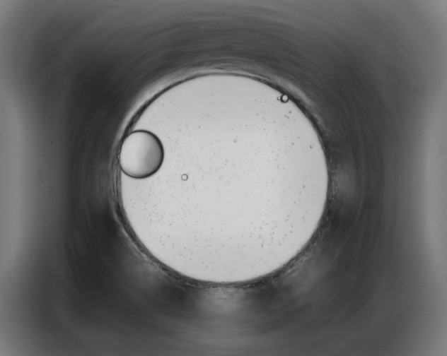 X0000086971514200704161135