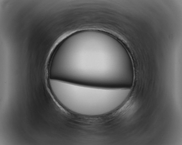 X0000086971517200704161135