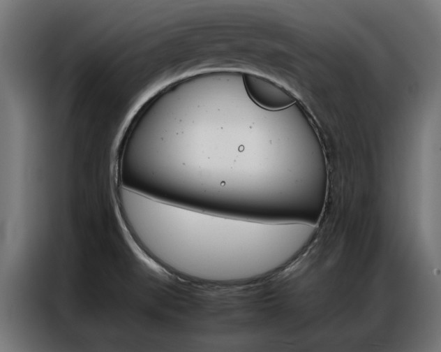 X0000086971519200704161135