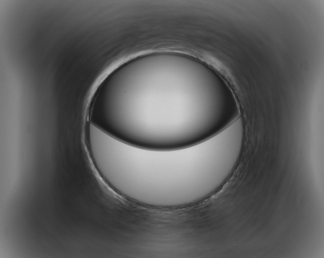X0000086971520200704161135