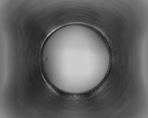 X0000086971521200704161135