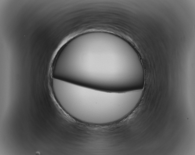 X0000086971522200704161135
