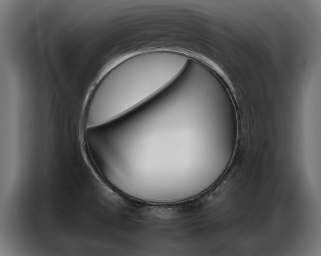 X0000086971525200704161135