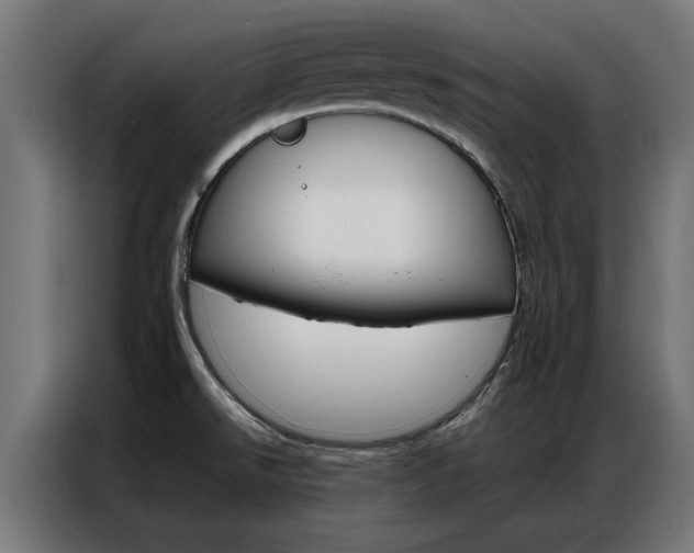 X0000086971526200704161135