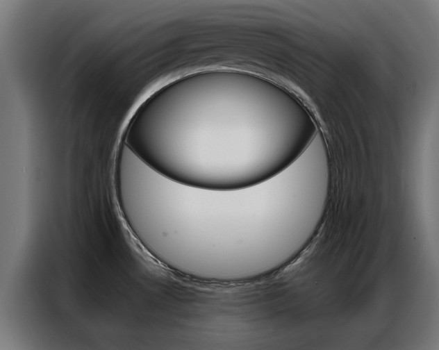 X0000086971530200704161135