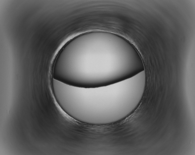 X0000086971531200704161135