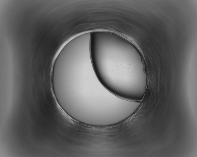 X0000086971532200704161135