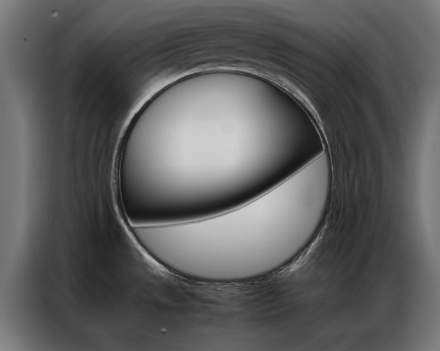 X0000086971533200704161135