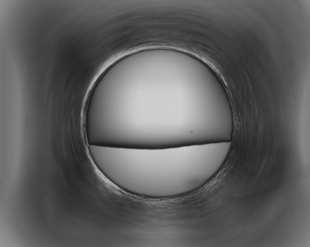 X0000086971535200704161135