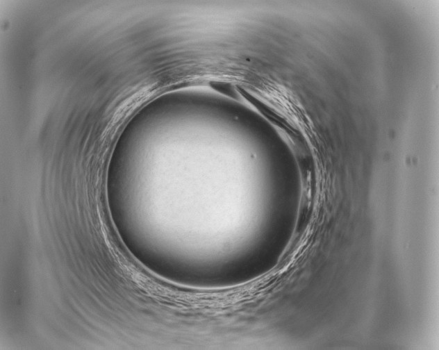 X0000086970001200704161555