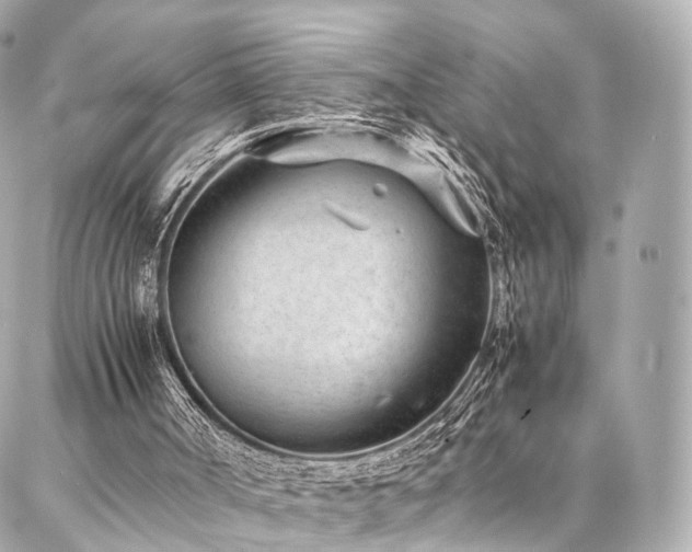 X0000086970002200704161555