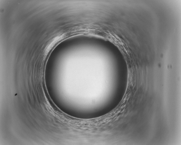 X0000086970003200704161555