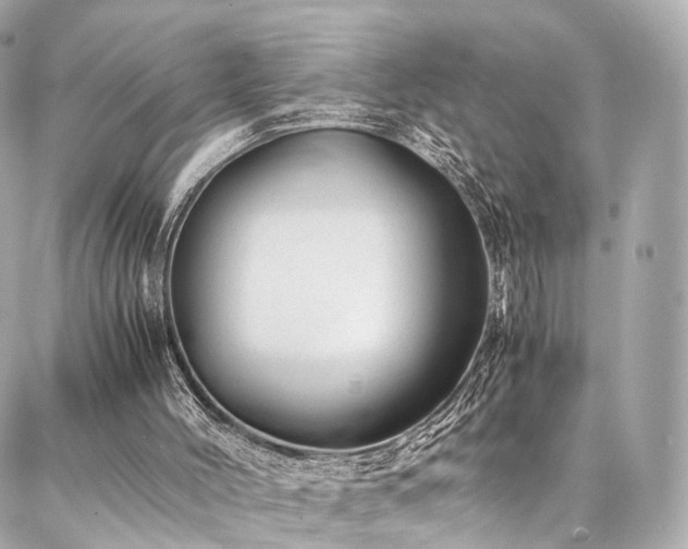 X0000086970004200704161555