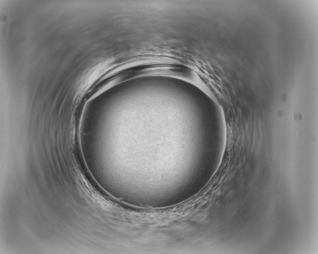 X0000086970005200704161555