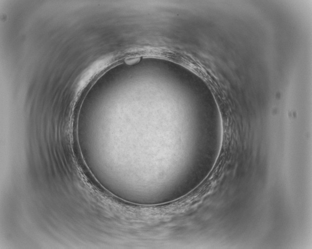 X0000086970006200704161555