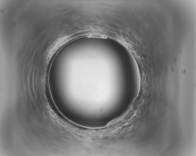 X0000086970007200704161555