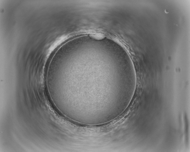 X0000086970008200704161555