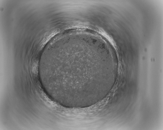 X0000086970009200704161555