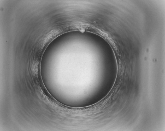 X0000086970010200704161555