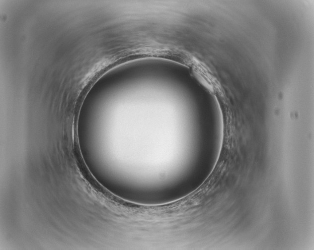 X0000086970011200704161555