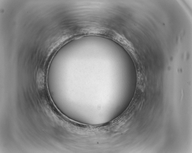 X0000086970012200704161555