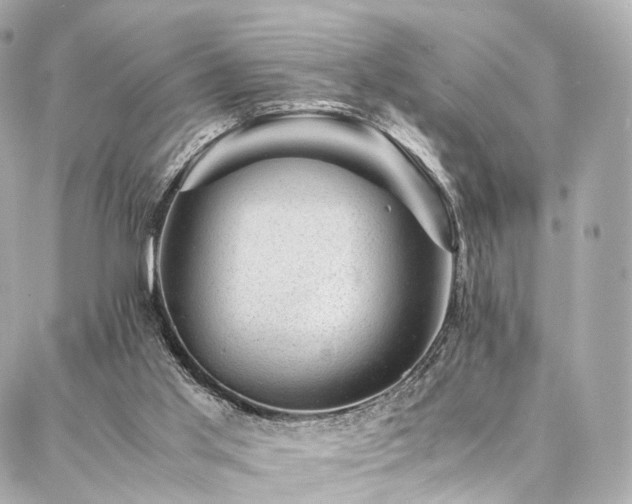 X0000086970013200704161555