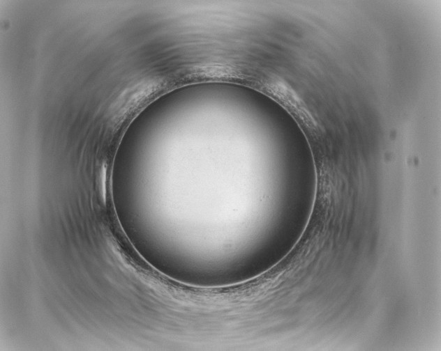 X0000086970014200704161555