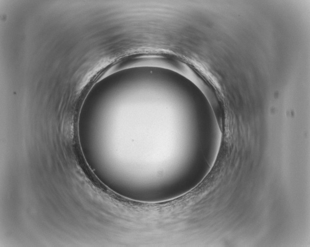 X0000086970015200704161555