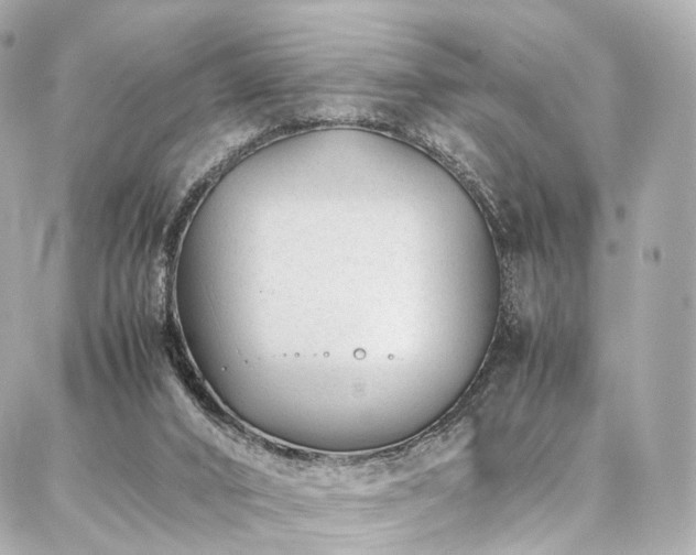 X0000086970016200704161555