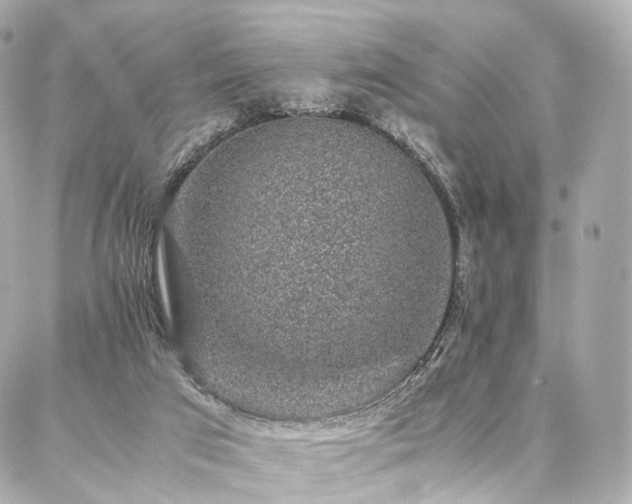 X0000086970017200704161555