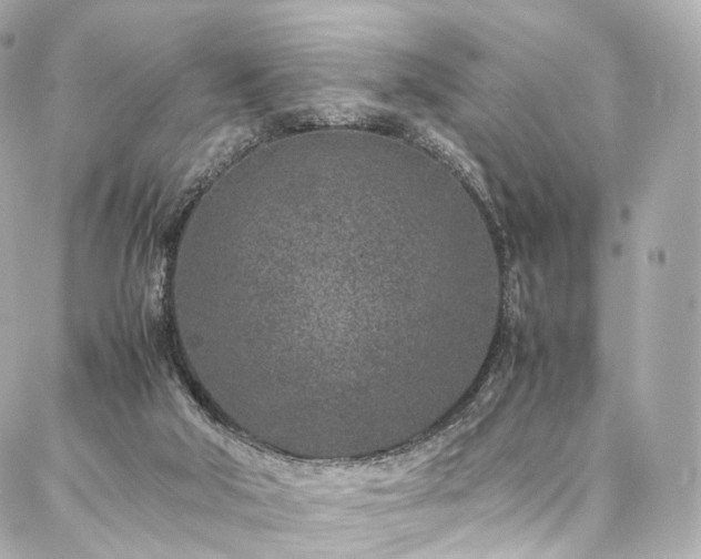 X0000086970018200704161555