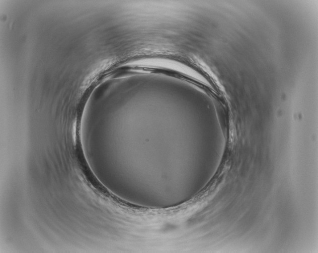 X0000086970019200704161555