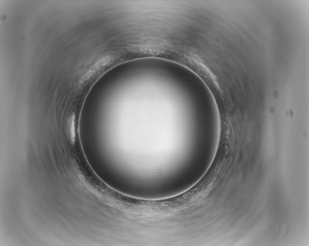 X0000086970020200704161555