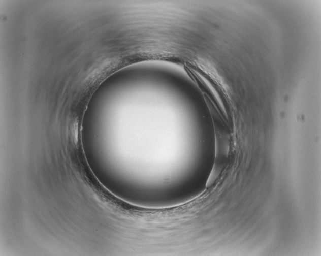 X0000086970021200704161555