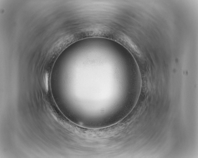 X0000086970022200704161555