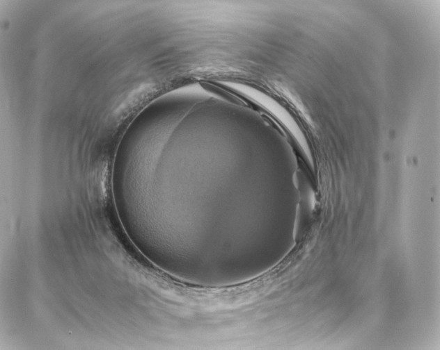 X0000086970023200704161555