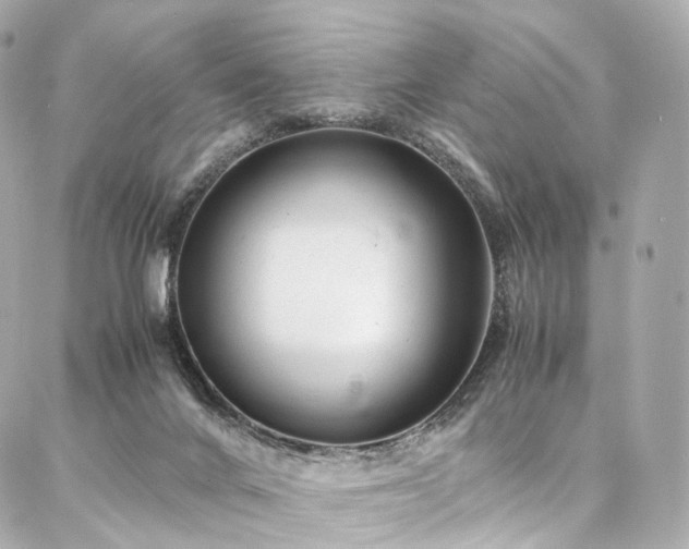 X0000086970024200704161555